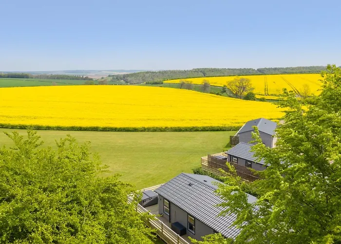 Wolds Away